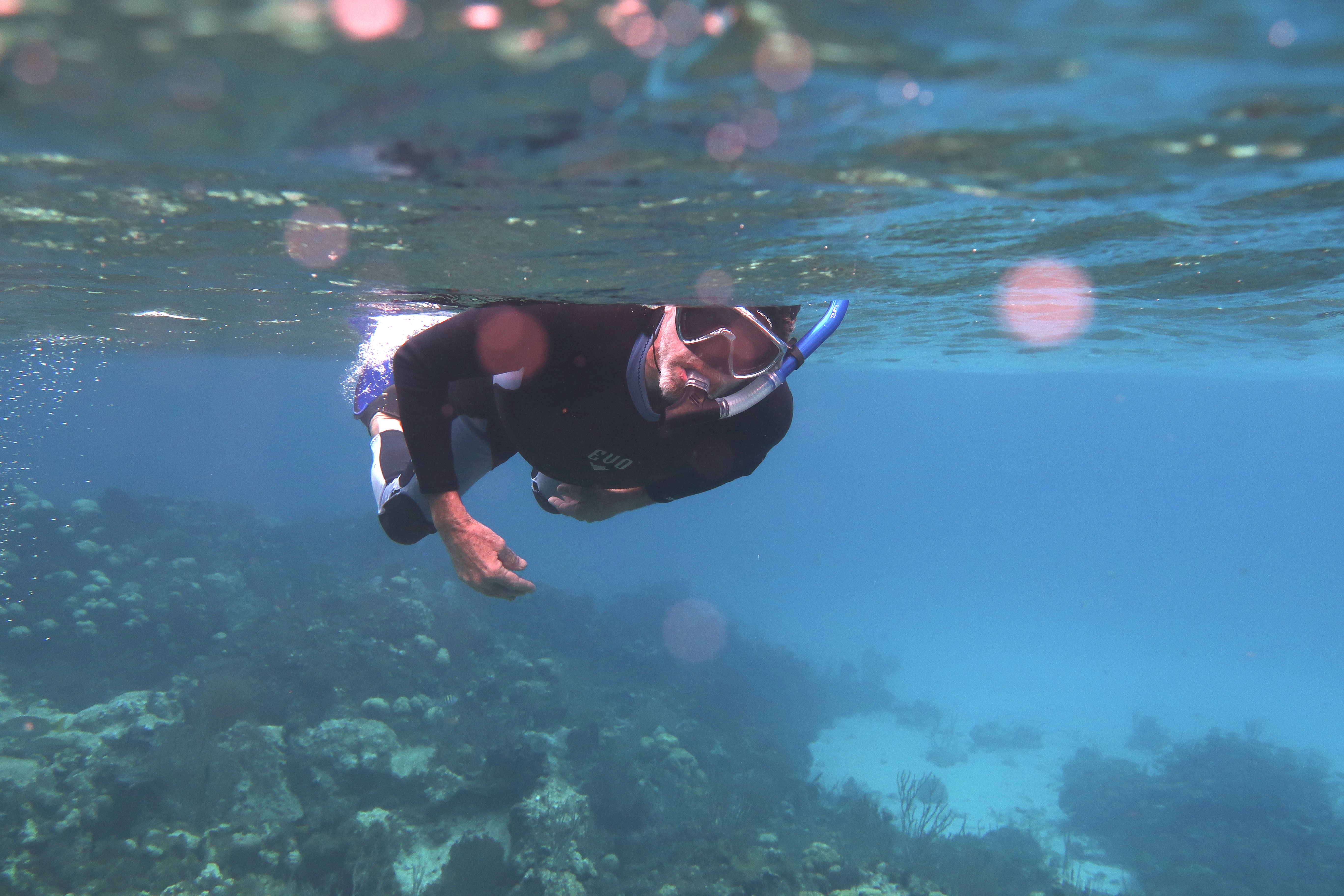 dad-snorkeling