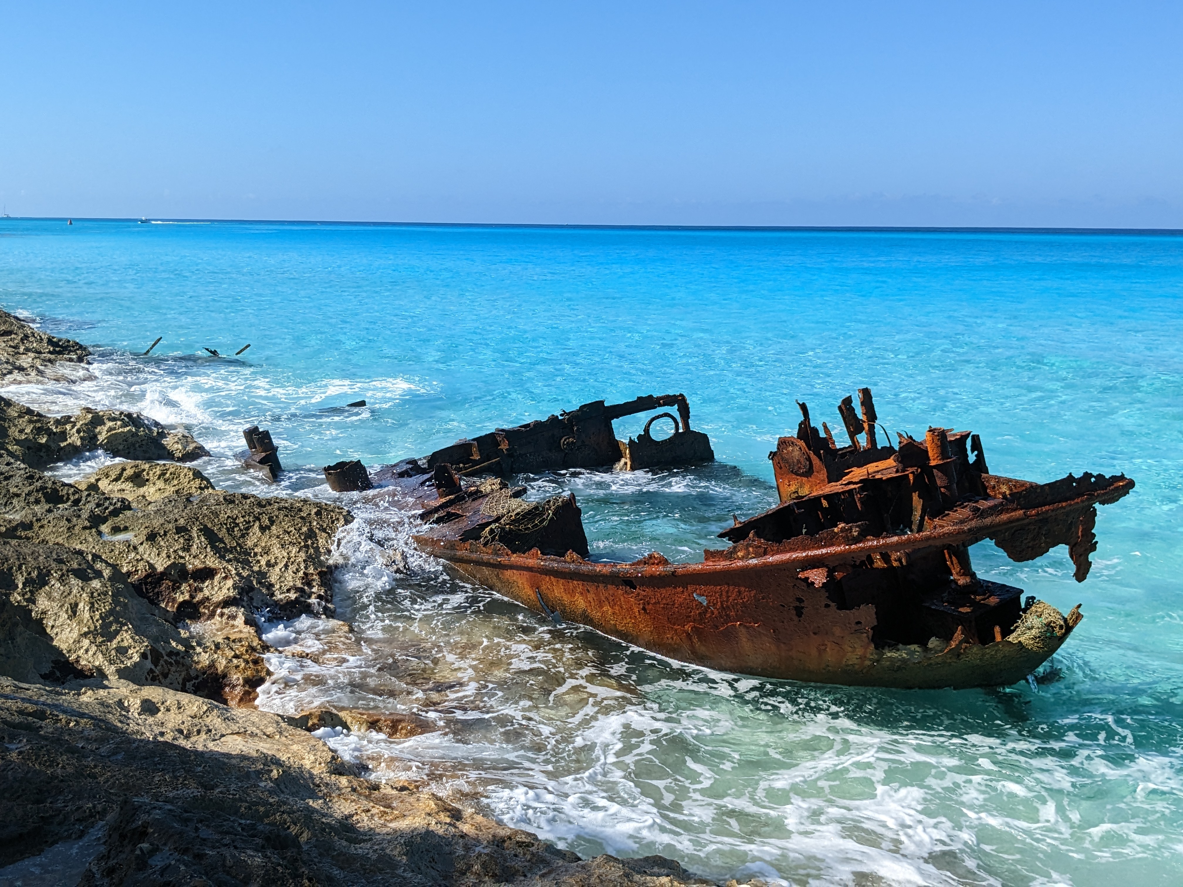 gallant-lady-feb2023