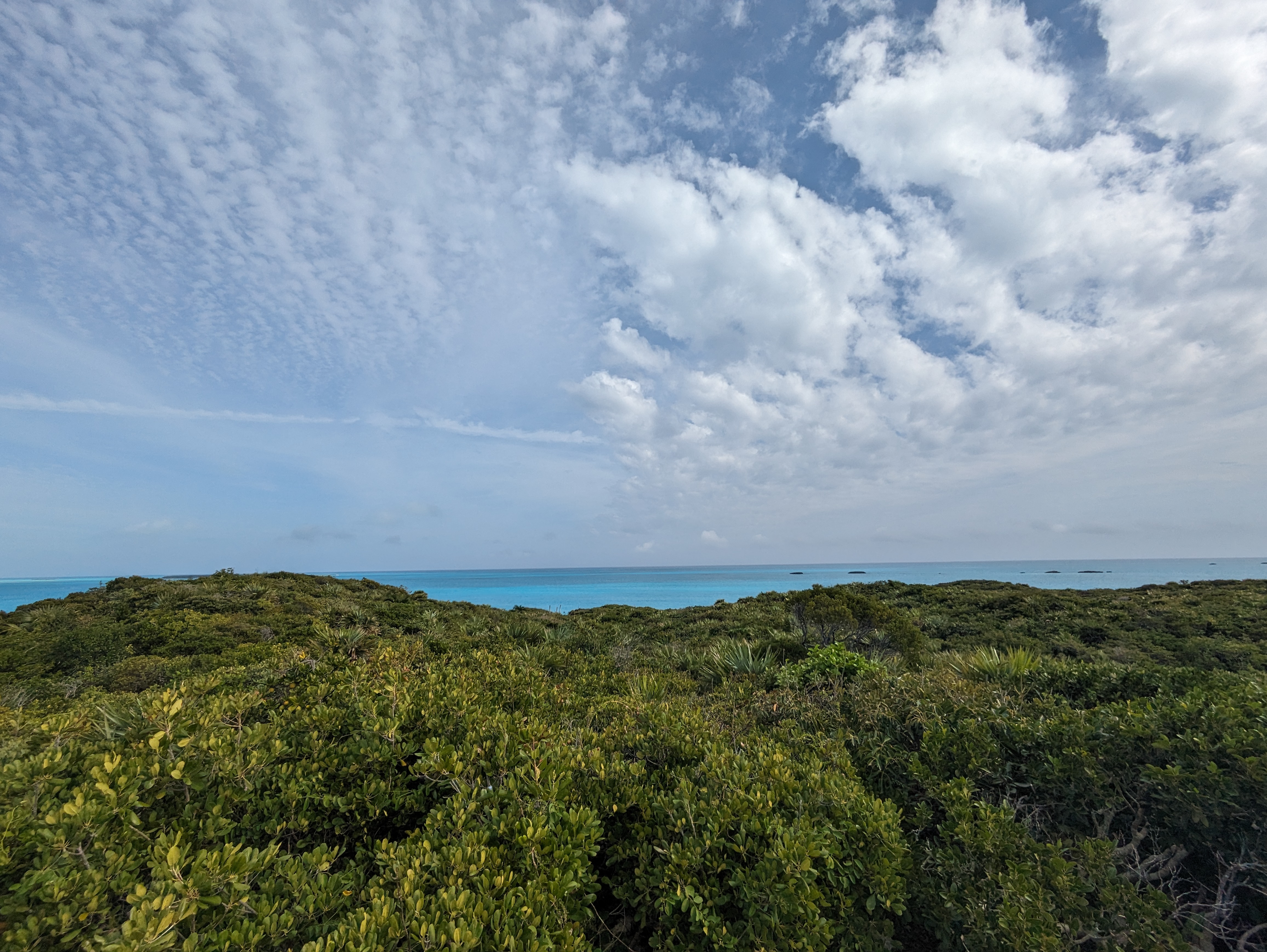 hawksbill-first-view