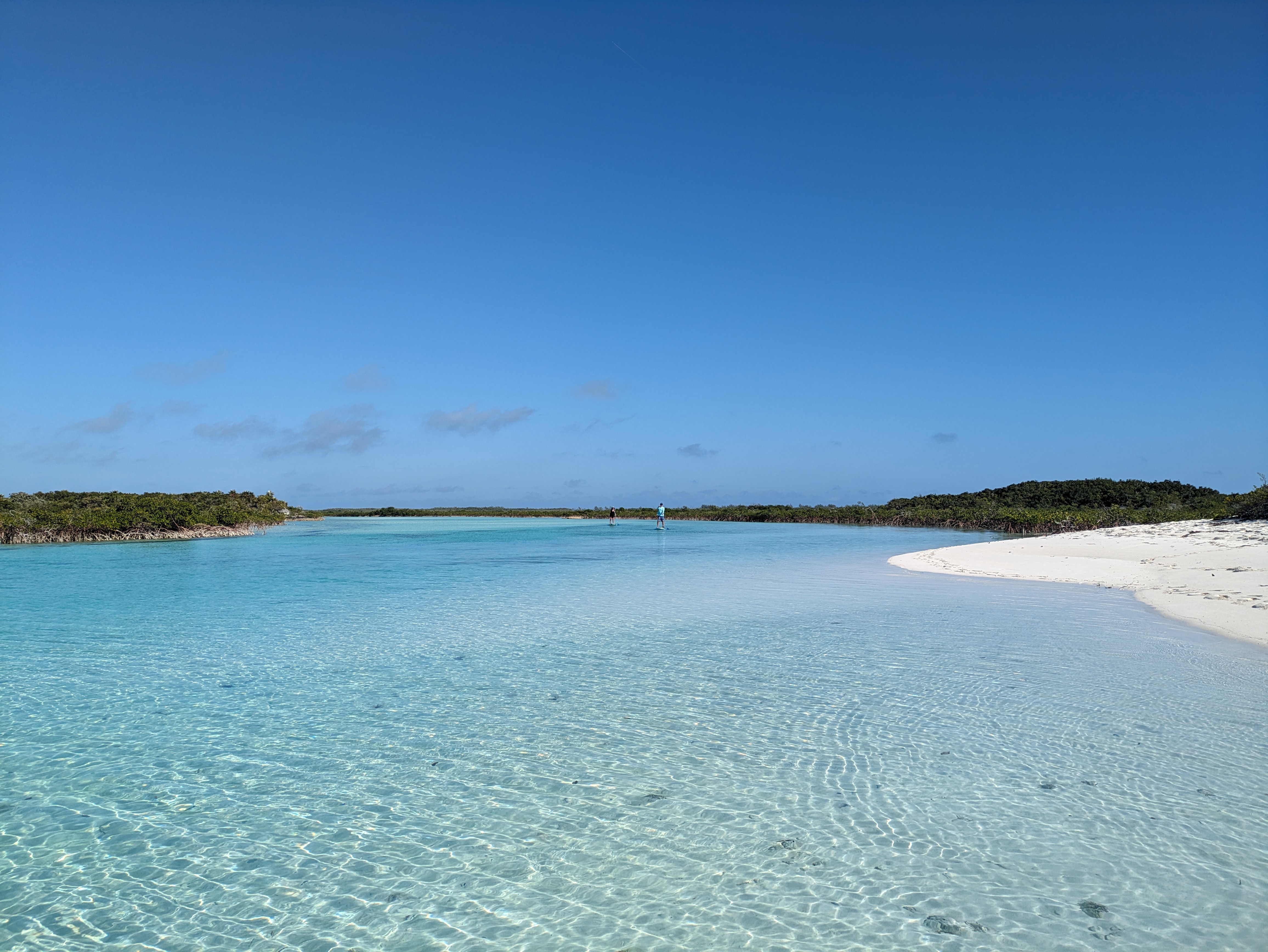 parents-paddleboarding