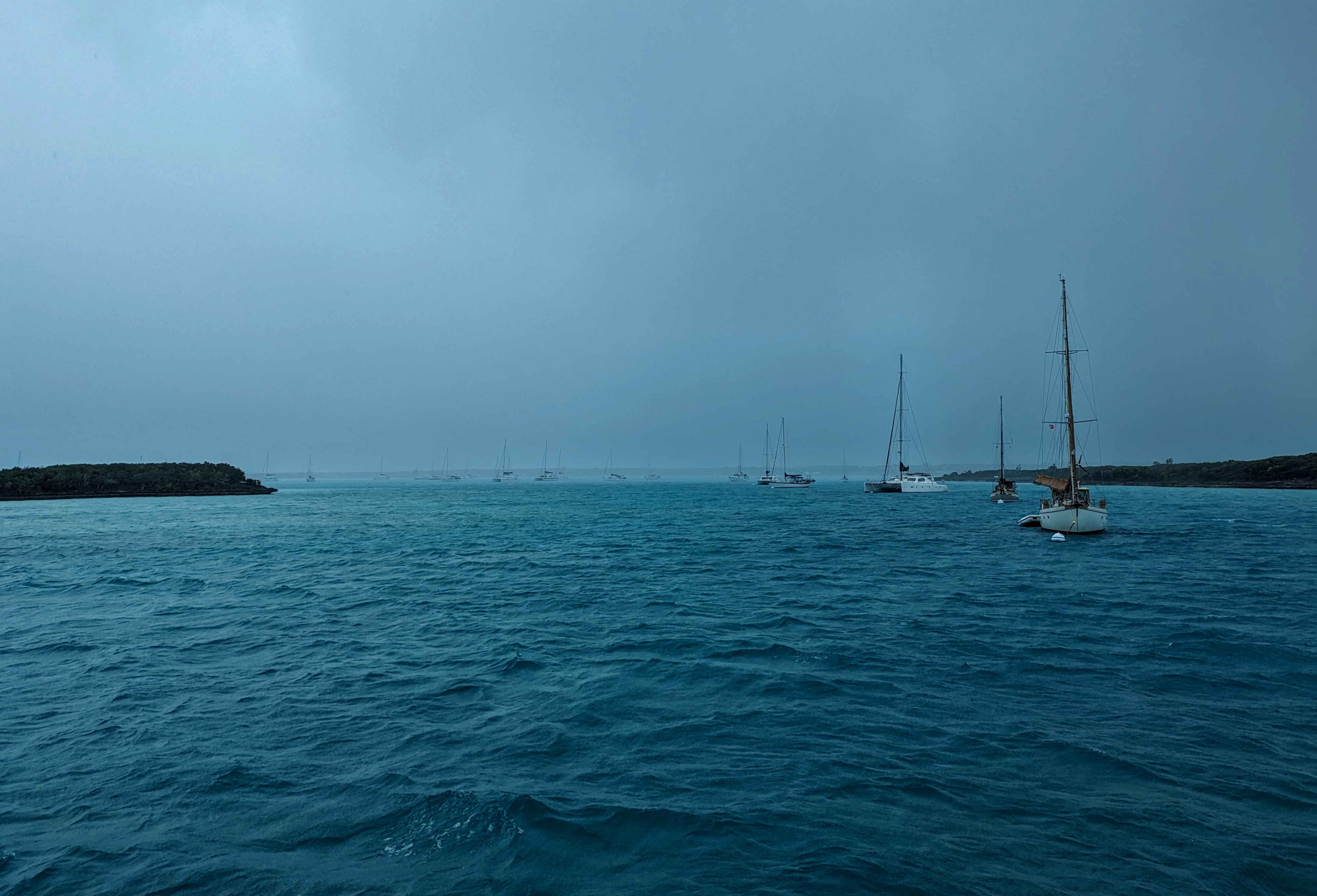 redshanks-mooringballs